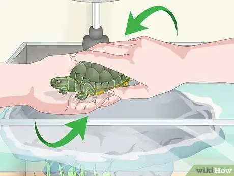 Image titled Care for a Turtle Step 12