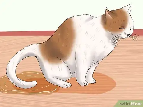 Image titled Know if a Cat Is Stressed Step 1