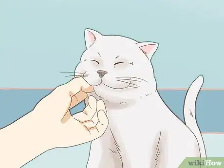Image titled Get Your Cat to Purr Step 1