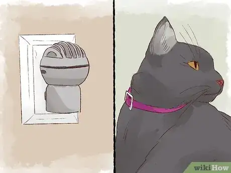 Image titled Stop a Cat from Licking Its Fur Off Step 8