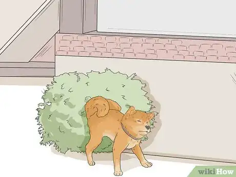 Image titled Train a Shiba Inu Step 12