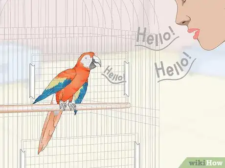 Image titled Teach Parrots to Talk Step 5