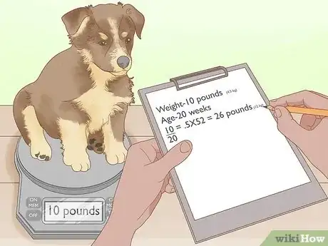 Image titled Tell How Big a Mixed Puppy Will Get Step 1