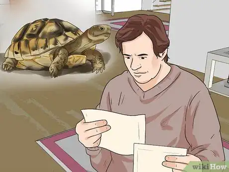 Image titled Sex Tortoises Step 10