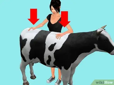 Image titled Train a Cow to be Ridden Step 3