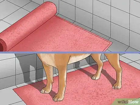 Image titled Bathe a Dog in a Shower Step 3