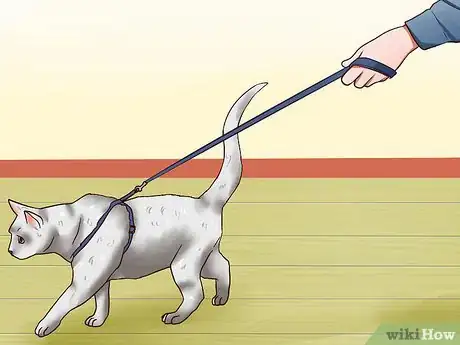 Image titled Leash Train a Cat Step 6