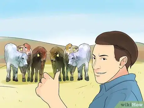 Image titled Raise Cattle Step 10