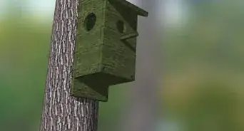 Keep Bees Out of Birdhouses