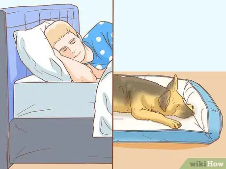 Image titled Stop Your Dog from Waking You Up at Night Step 2