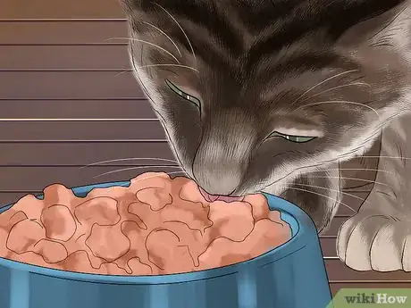 Image titled Know if Your Cat Is Getting Enough Sleep Step 8