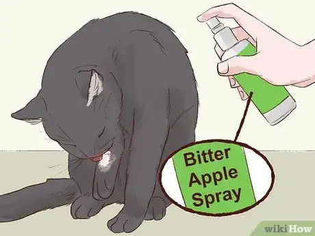 Image titled Stop a Cat from Licking Its Fur Off Step 4