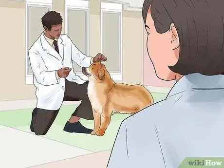 Image titled Learn Breeds of Dogs Step 16