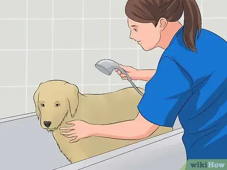 Image titled Become a Dog Groomer Step 4