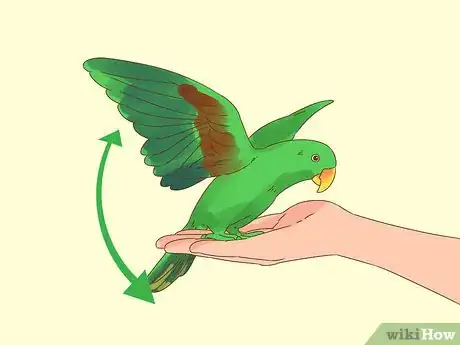 Image titled Play with a Large Parrot Step 6