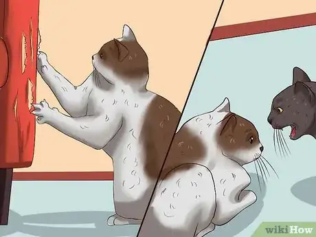 Image titled Train a Cat to Stop Doing Almost Anything Step 1