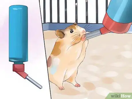 Image titled Feed Hamsters Step 5