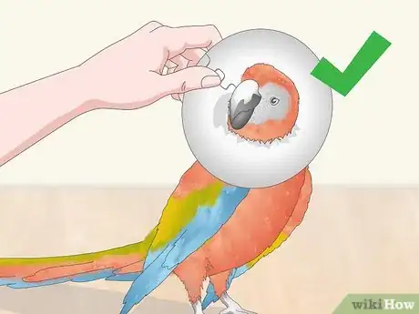 Image titled Stop a Macaw from Feather Picking or Chewing Step 10