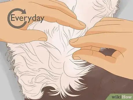Image titled Use a Flea Comb Step 6