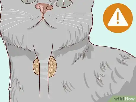 Image titled Check Cats for Dehydration Step 12