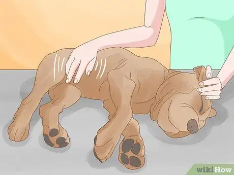Image titled Massage a Dog to Poop Step 6