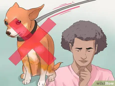 Image titled Treat a Collapsing Trachea in Chihuahuas Step 15