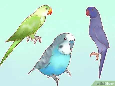 Image titled Take Care of a Parakeet Step 1