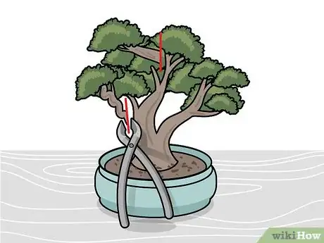 Image titled Prune a Bonsai Tree Step 6