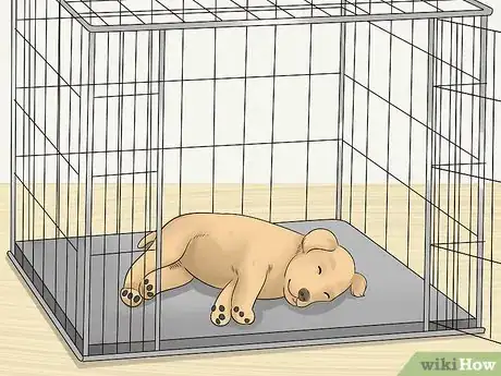 Image titled Crate Train a Puppy During the Day Step 2