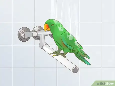Image titled Play with a Large Parrot Step 8
