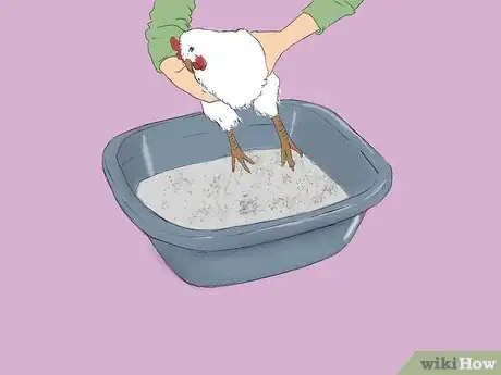 Image titled Get Rid of Chicken Mites Step 3