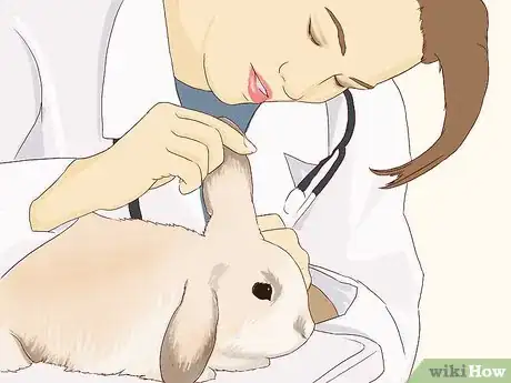 Image titled Feed Your Bunny Vitamins Step 2