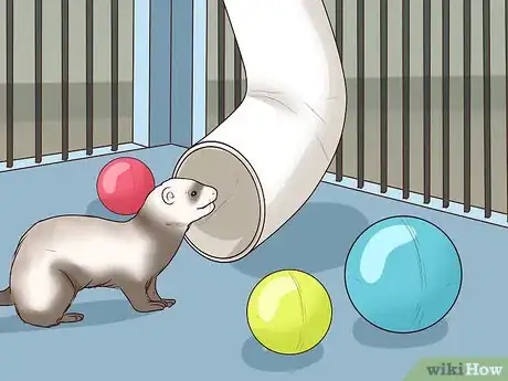 Image titled Choose a Cage for a Ferret Step 11