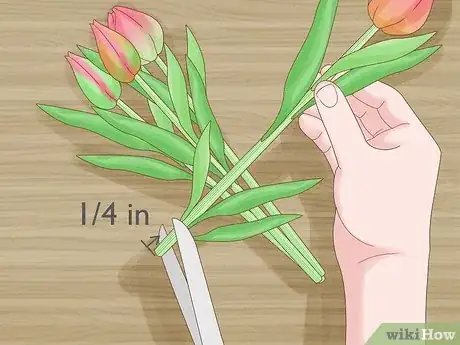 Image titled Care for Fresh Cut Tulips Step 3