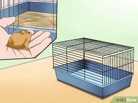 Image titled Take Care of a Found Injured Hamster Step 8