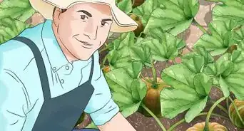 Become a Farmer Without Experience