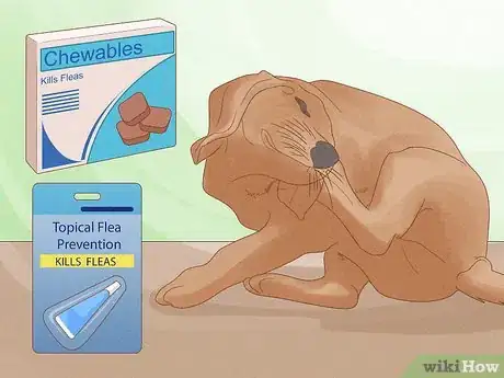 Image titled Solve Your Dog's Skin and Scratching Problems Step 1
