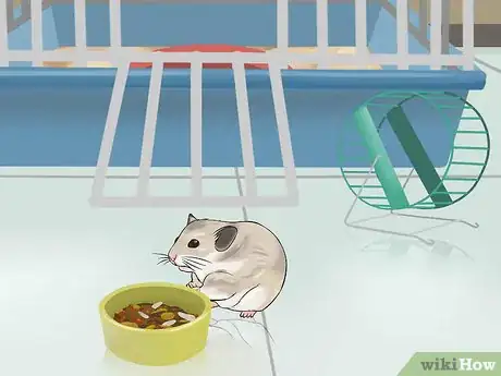 Image titled Have Fun With Your Hamster Step 16