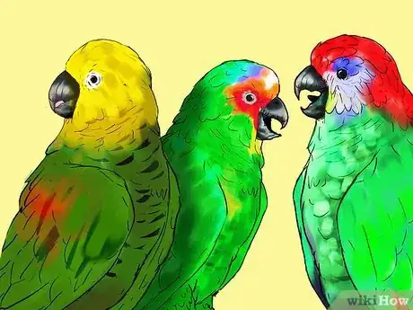Image titled Know if an Amazon Parrot Is Right for You Step 12