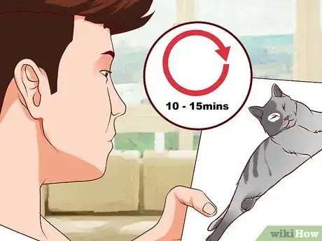 Image titled Stop Being Afraid of Cats Step 3