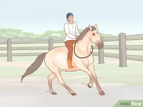 Image titled Teach a Horse to Ride Tackless Step 9