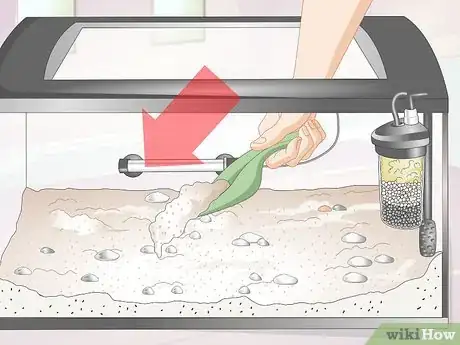 Image titled Make a Shrimp Aquarium Step 5