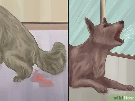 Image titled Treat a Dog's Bladder Infection Step 1
