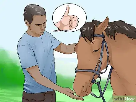 Image titled Discipline a Horse Without Using Aggression Step 9