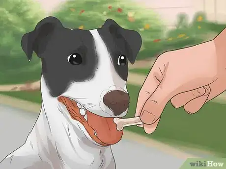 Image titled Train Your Dog to Use a Dog Door Step 7