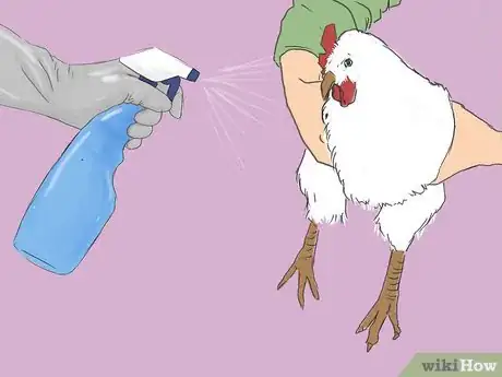 Image titled Get Rid of Chicken Mites Step 8