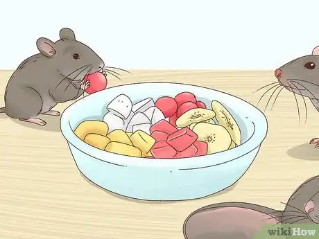 Image titled Keep Multiple Pet Mice Step 21