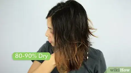 Image titled Dry Hair with a Round Brush Step 8