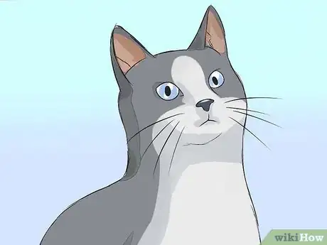 Image titled Give Your Cat Nose Drops Step 5