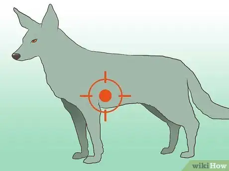 Image titled Hunt a Coyote Step 11